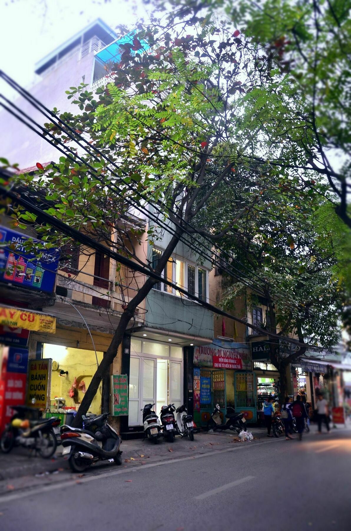Bee House - Near Hanoi Opera House, Hoan Kiem Eksteriør bilde